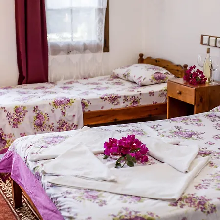 Flower 4* Πάταρα