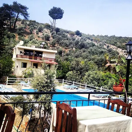 Bed and Breakfast Flower Πάταρα