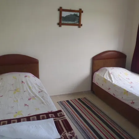 Bed and Breakfast Flower 4*