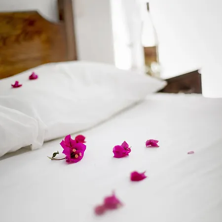 Flower Bed & Breakfast