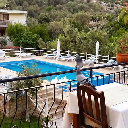 Flower Bed & Breakfast