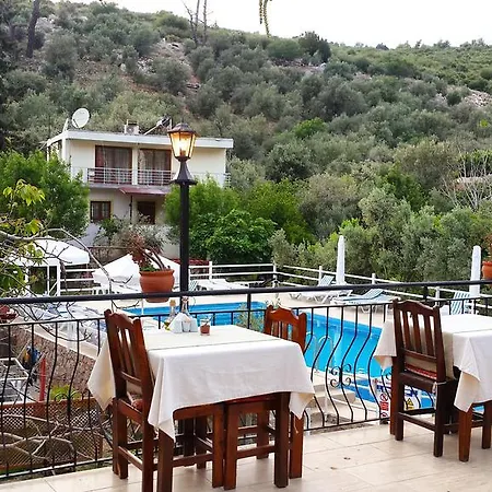 Bed & Breakfast Flower 2*