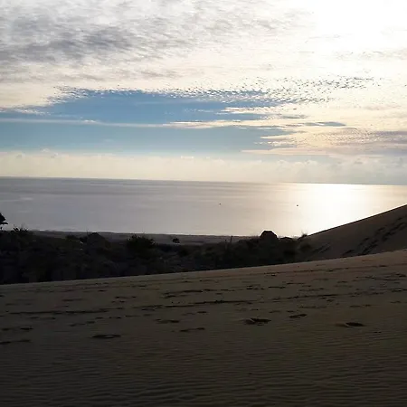 Bed & Breakfast Flower Patara