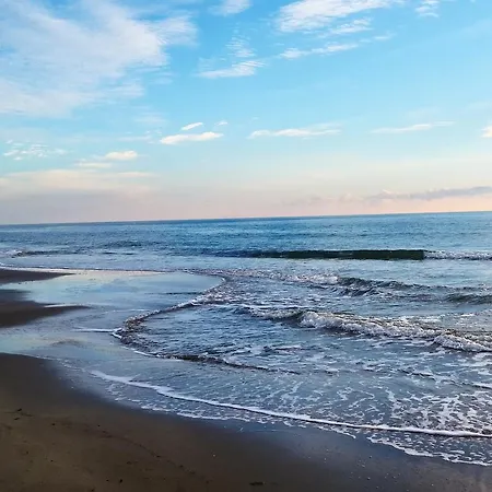 Bed & Breakfast Flower Patara