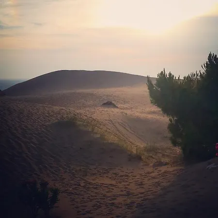 Bed & Breakfast Flower 4*