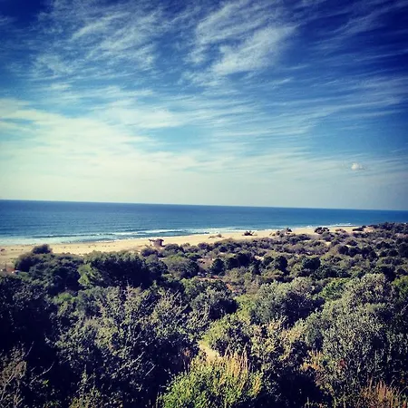 Bed & Breakfast Flower Patara