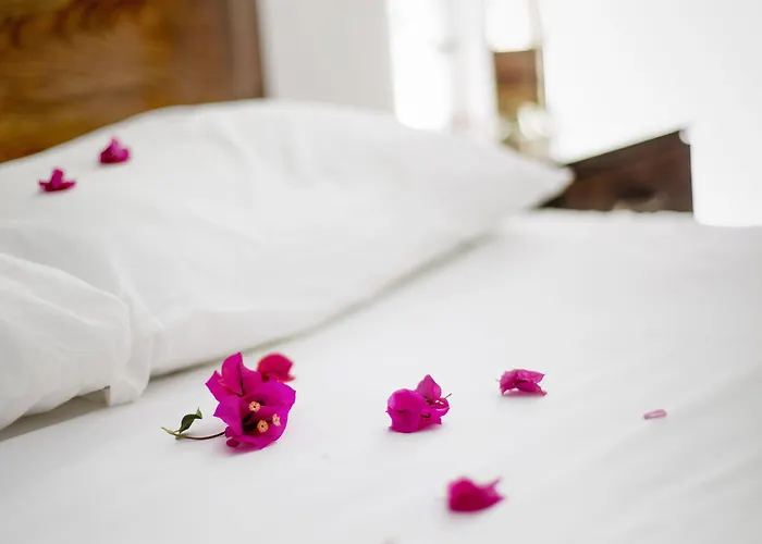 Flower Отель типа 