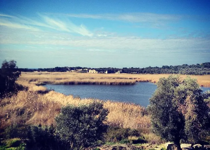 Flower Отель типа 