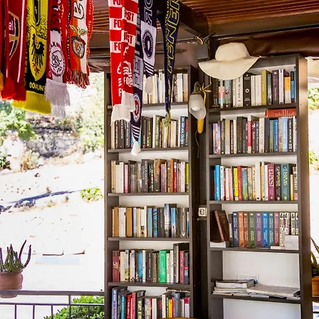 Flower לינה וארוחת בוקר 4*