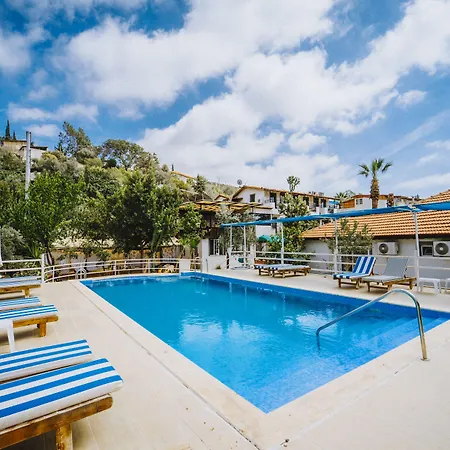 לינה וארוחת בוקר Flower