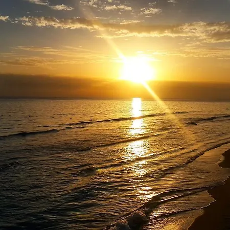 לינה וארוחת בוקר Flower 4*