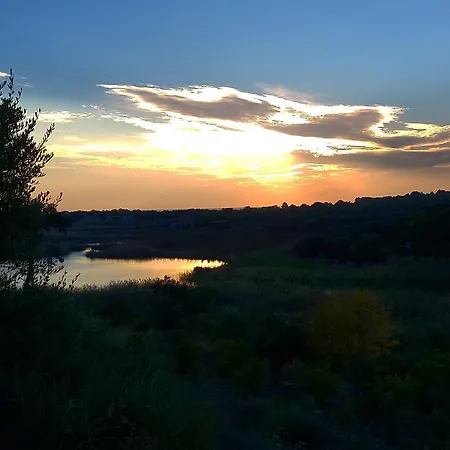 לינה וארוחת בוקר Flower