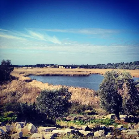 Flower לינה וארוחת בוקר 4*