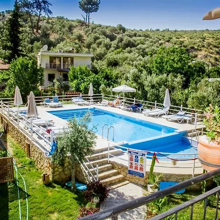 Flower לינה וארוחת בוקר